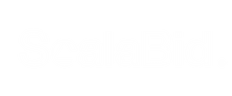 ScalaBid